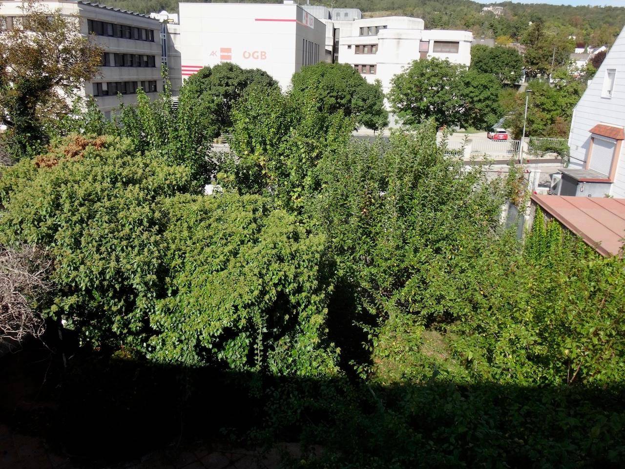 Garten von Terrasse