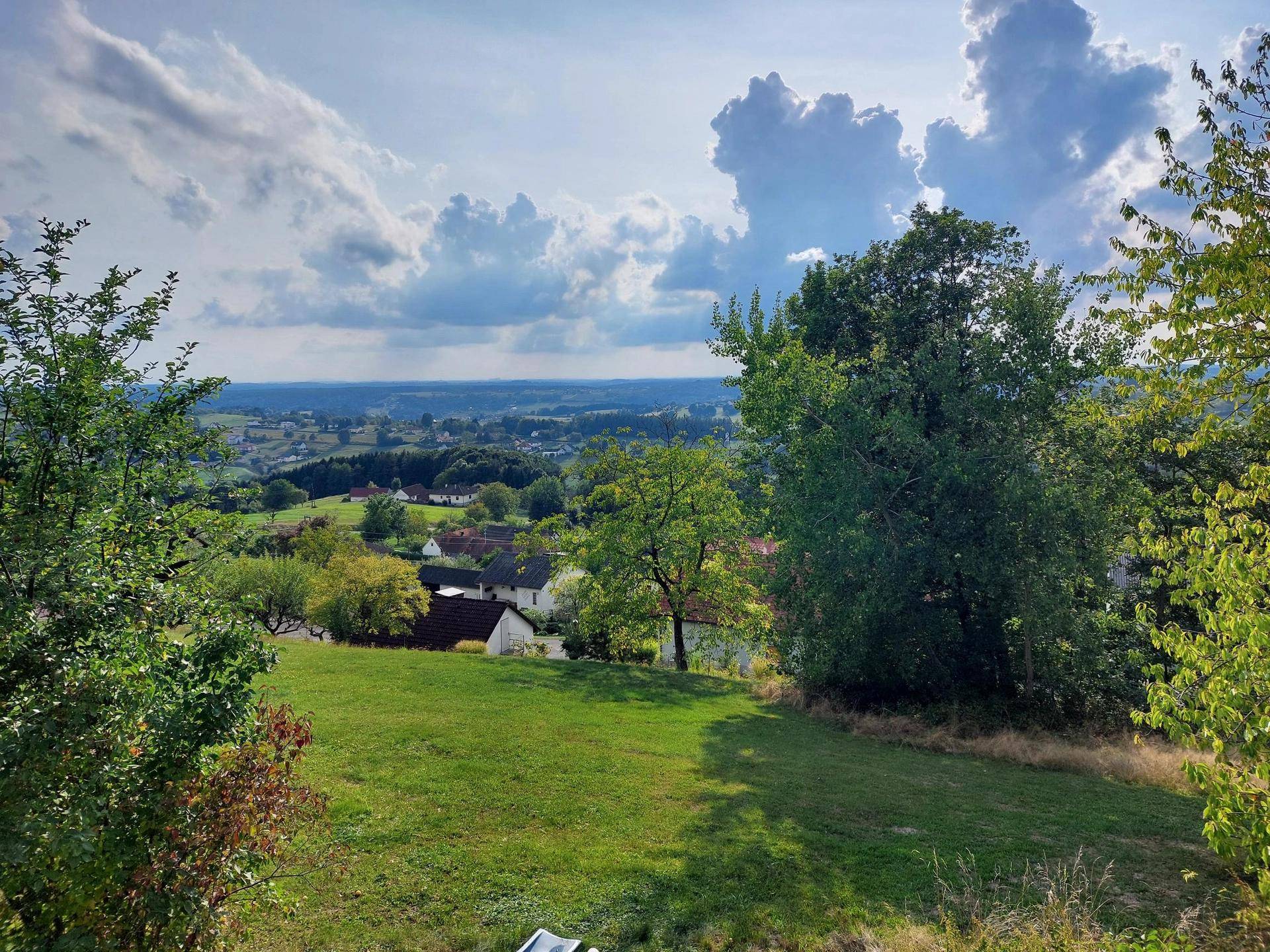 Pannormablick