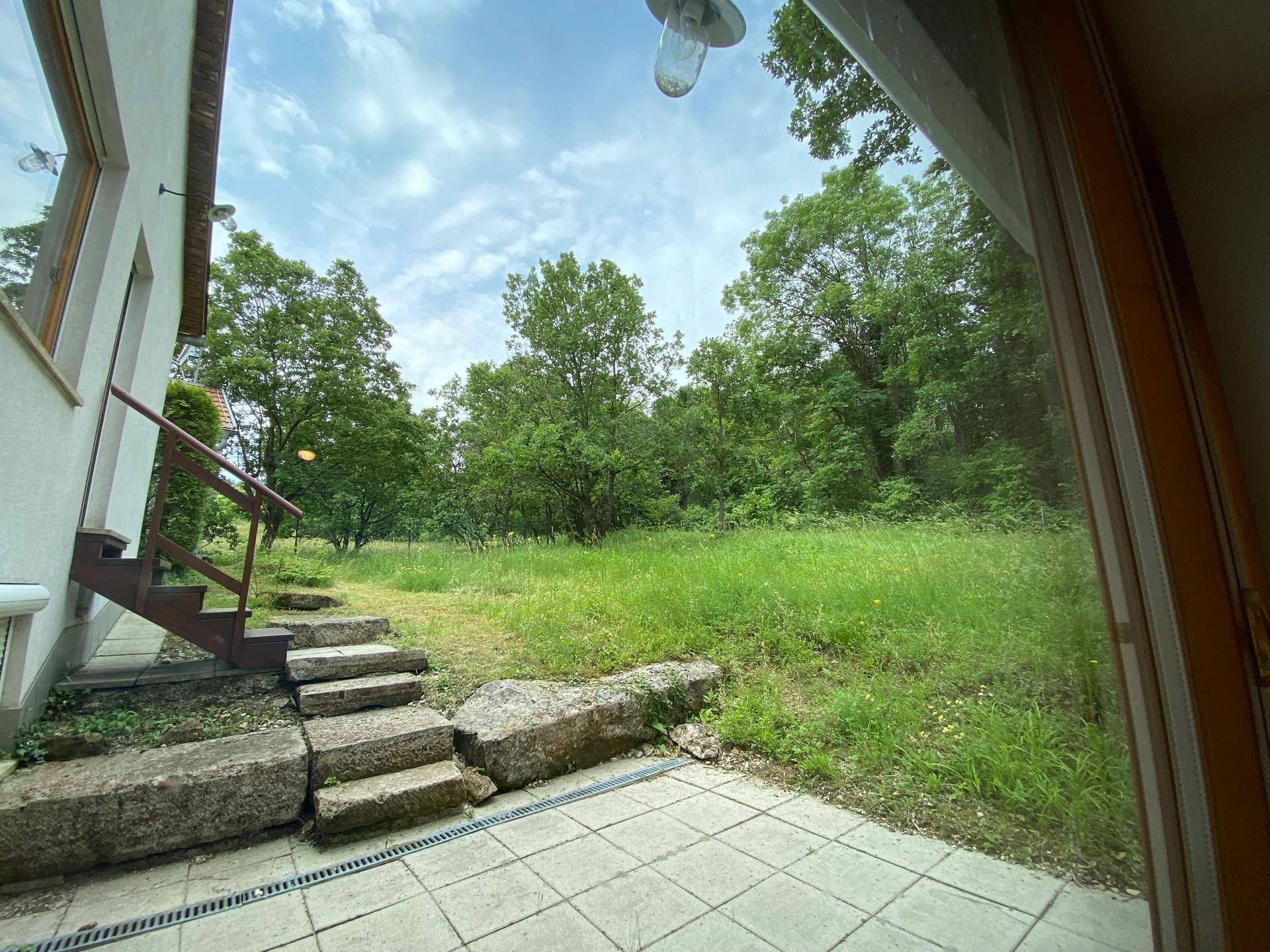 Gepflasterte Terrasse mit Steinstufen, die zu einem weitläufigen Gartenbereich mit Bäumen führen.