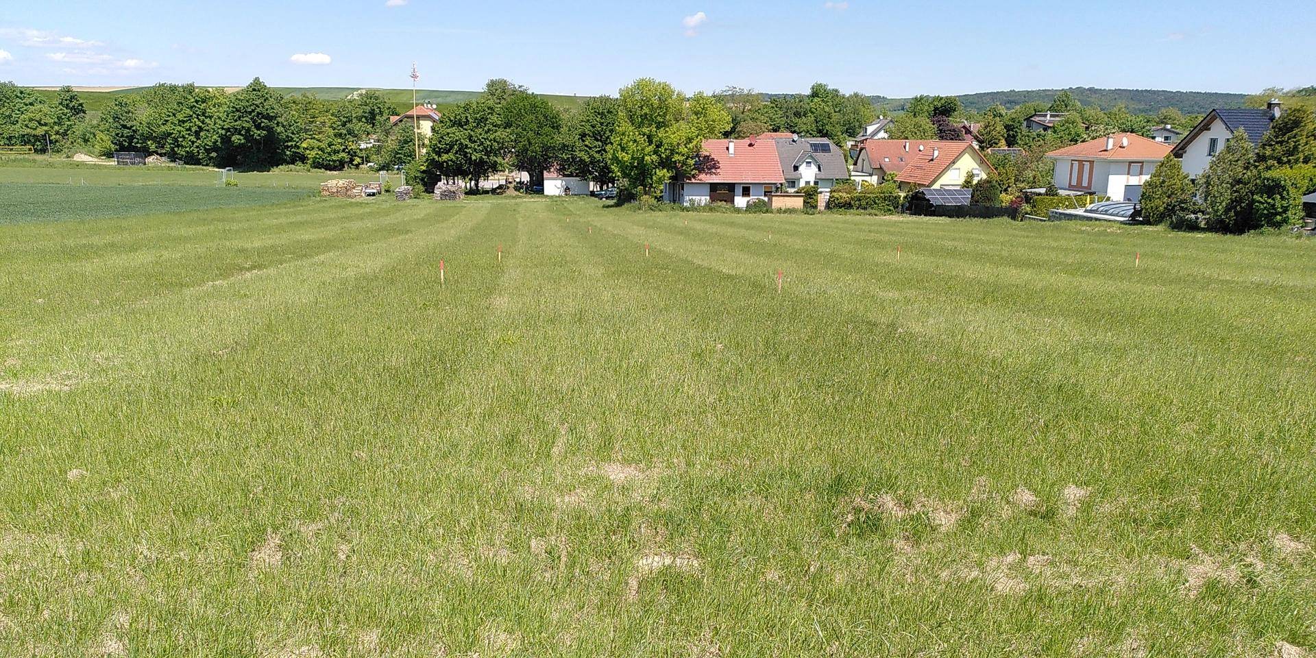Grüne Wiese mit Markierungen und Wohnhäusern in der Ferne unter klarem Himmel.