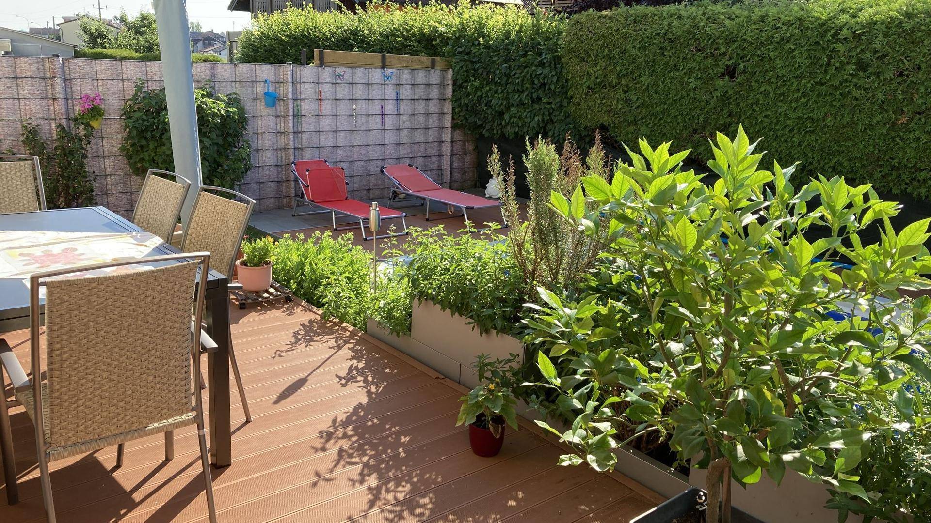Sonniger Gartenbereich mit Holzterrasse, Liegestühlen und üppiger Bepflanzung.