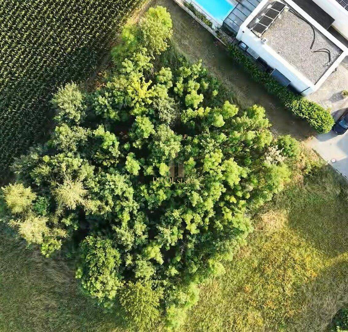 Luftaufnahme einer grünen Umgebung mit Bäumen, Feldern und einem Gebäude mit Pool.