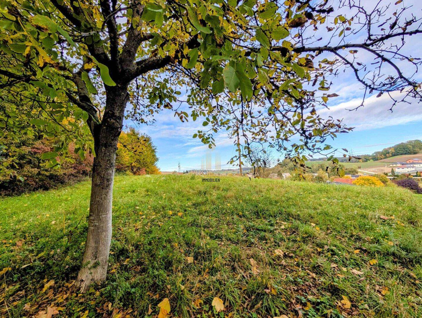 Aussicht