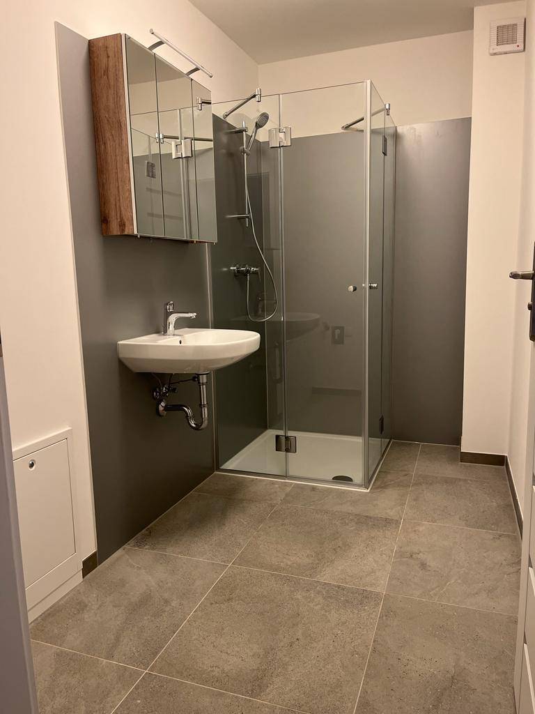 Modernes Badezimmer mit Duschkabine, Einzelwaschbecken und Spiegelschrank, in neutralen Grautönen gehalten.