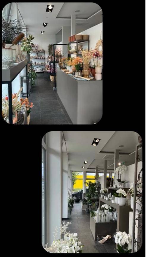 Innenansicht eines modernen Blumenladens mit verschiedenen Pflanzenarrangements und Verkaufstheke.