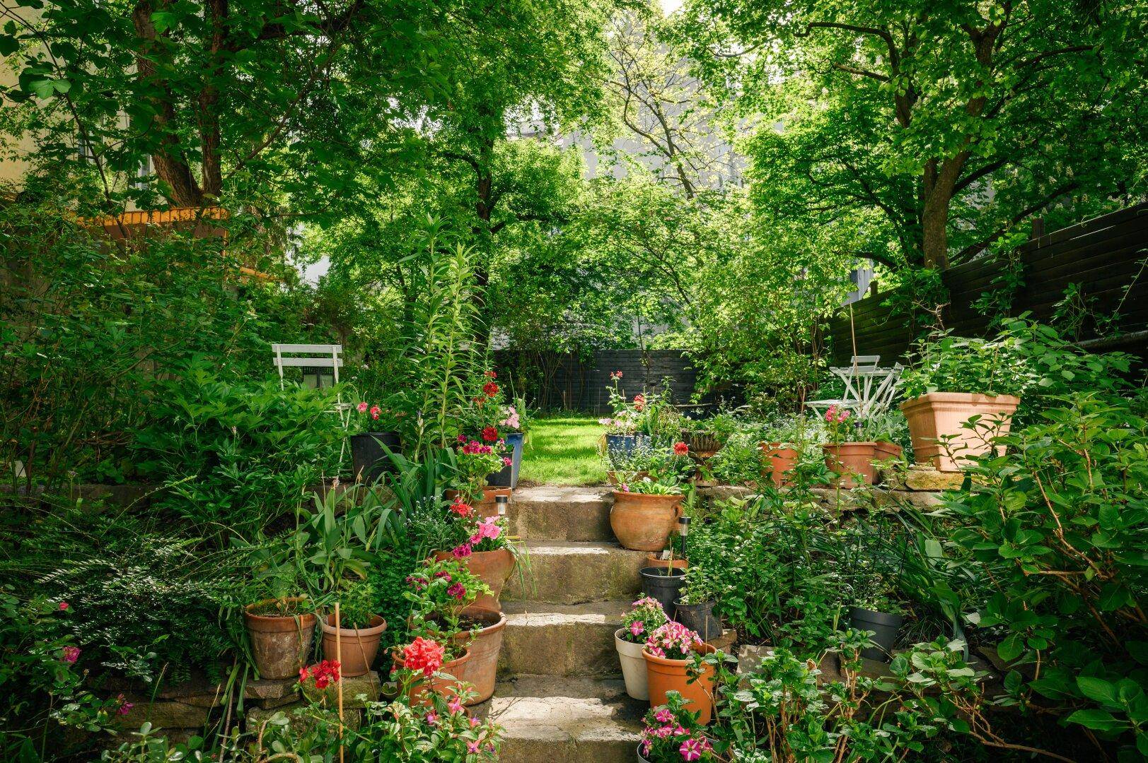 Üppiger, mehrstufiger Garten mit Steintreppe, zahlreichen Topfpflanzen und dichter Vegetation.