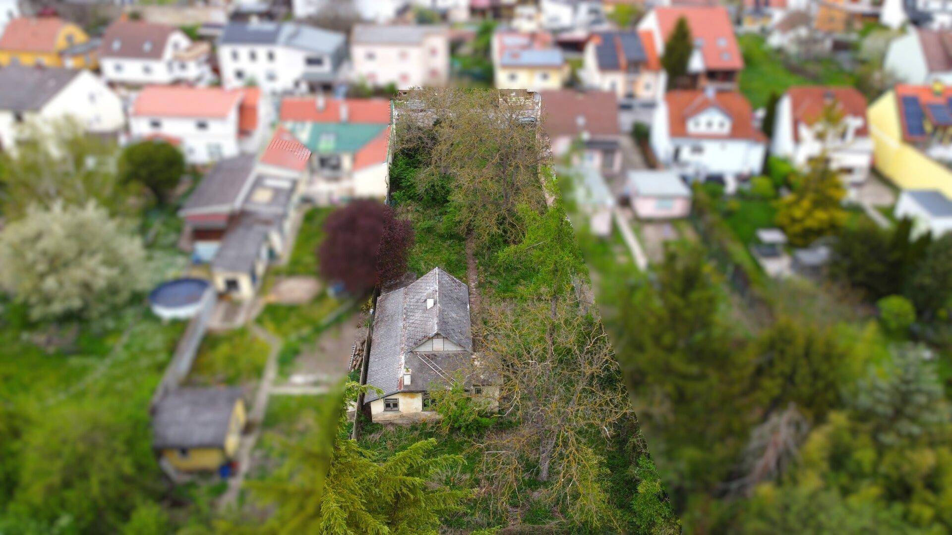 Luftaufnahme mit Fokus auf ein Haus umgeben von viel Grün und Bäumen in einer Wohngegend.