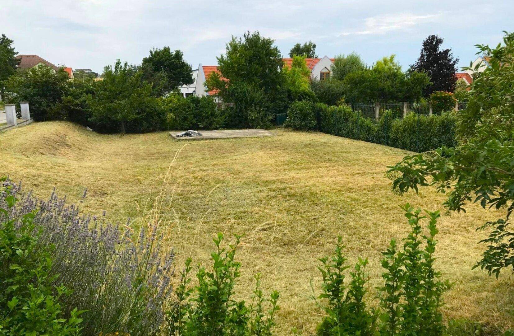 Großer, gepflegter Gartenbereich mit Rasenfläche und umgebenden Bäumen und Sträuchern.