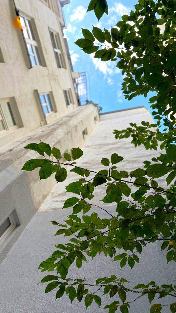 Fassade eines Gebäudes mit vielen Fenstern und grünen Bäumen im Vordergrund.
