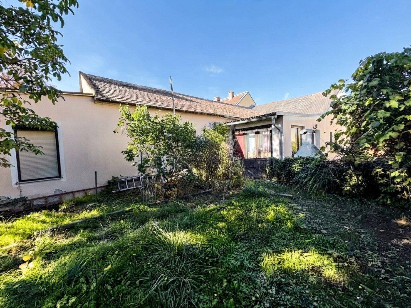 Großer, verwilderter Gartenbereich hinter dem Haus mit viel Grün und Bäumen.