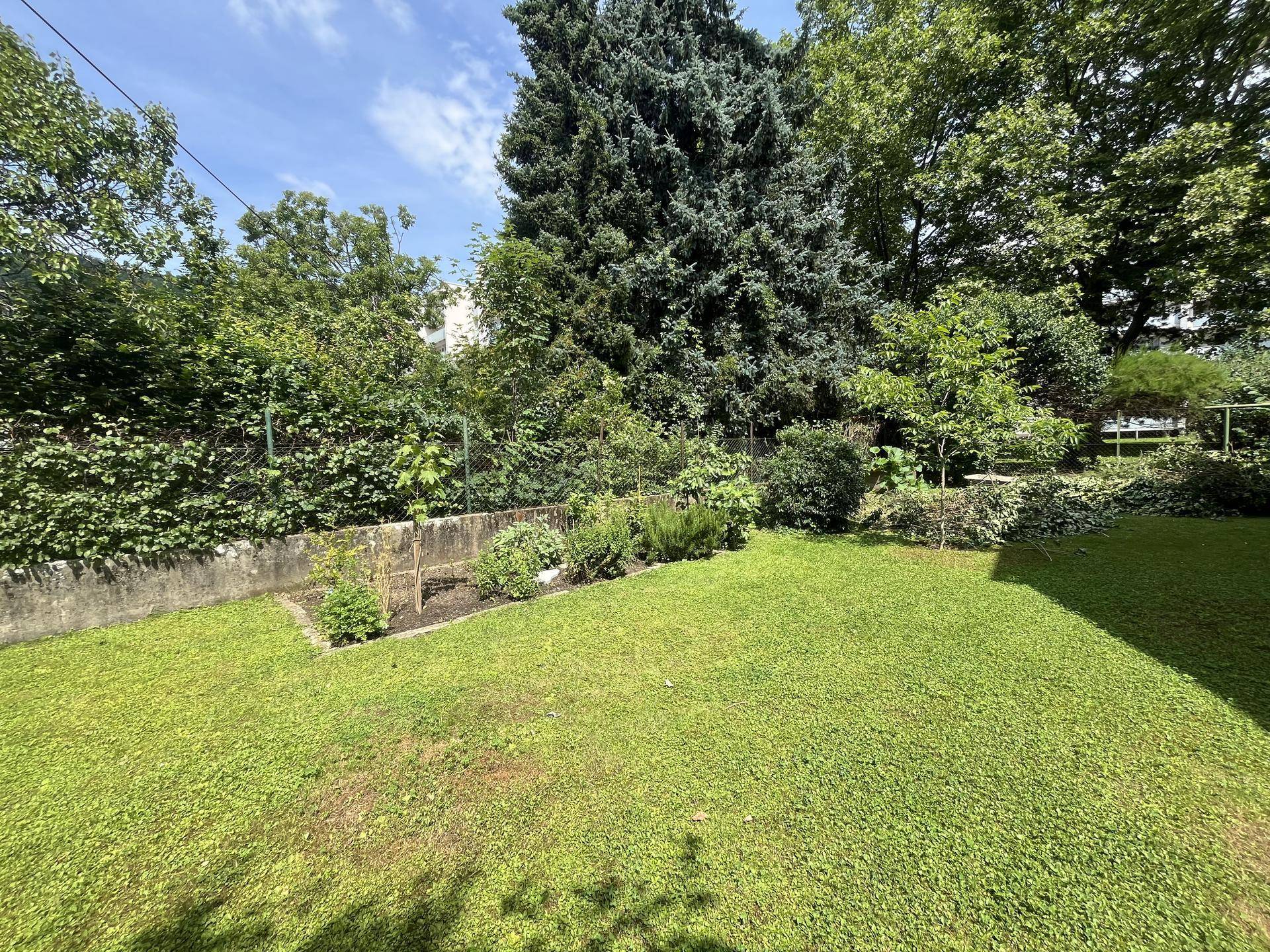 Gepflegter grüner Garten mit Rasenfläche und üppiger Bepflanzung unter blauem Himmel.