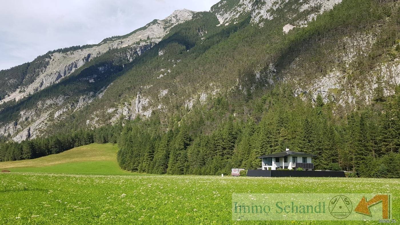 Ein charmantes Haus am Fuße eines bewaldeten Berges, umgeben von einer weiten grünen Wiese.