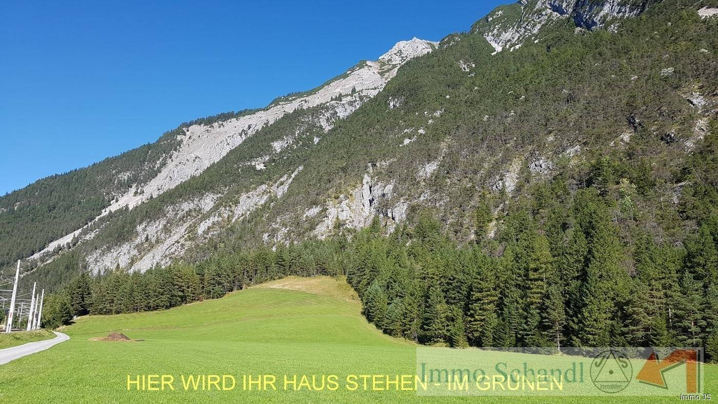Eine idyllische grüne Wiese, die sich bis zum Waldrand erstreckt, mit majestätischen Bergen im Hintergrund.