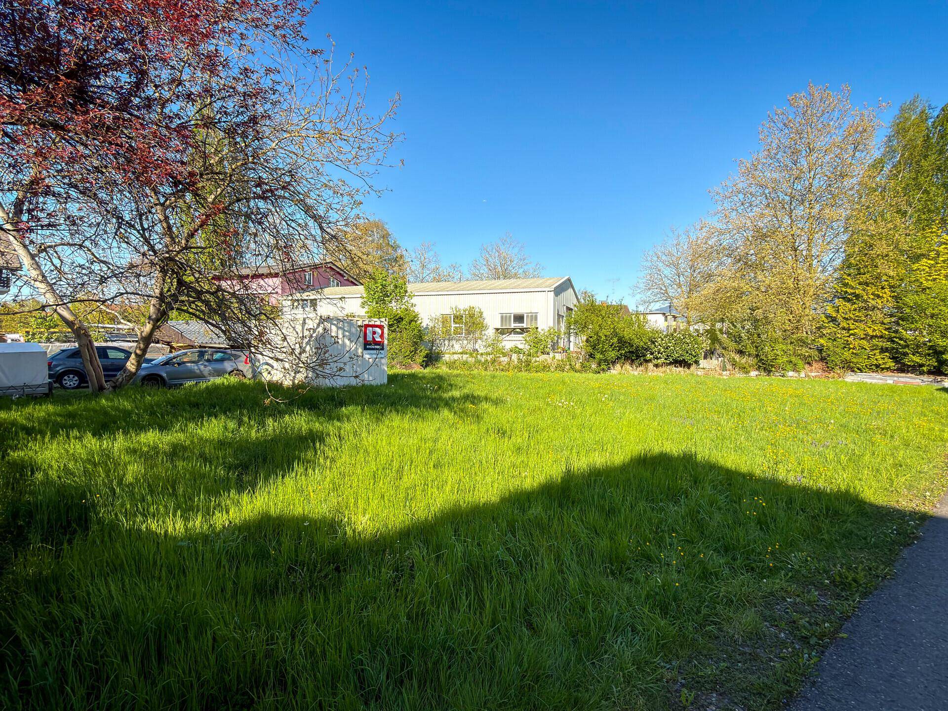 Sonniger Blick auf eine grüne Wiese, umgeben von Bäumen und Gebäuden, mit einem Container am Rand.