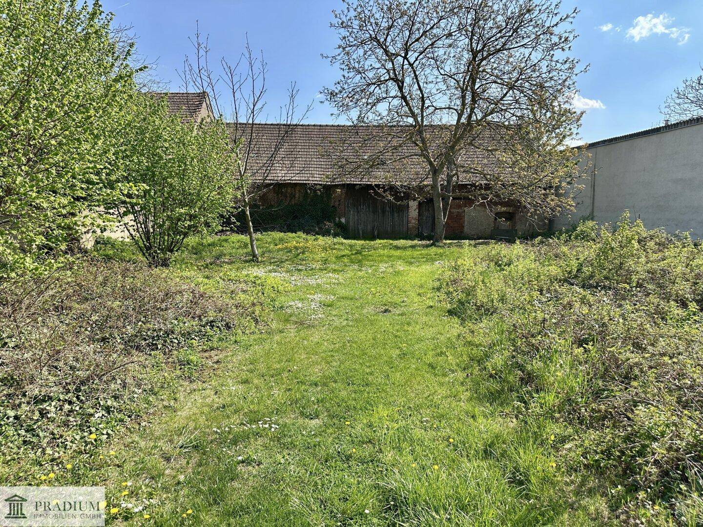 1.209 m² Freiheit - Ihr Traumgrundstück mit hoher Bebauungsmöglichkeit - Ansicht 4