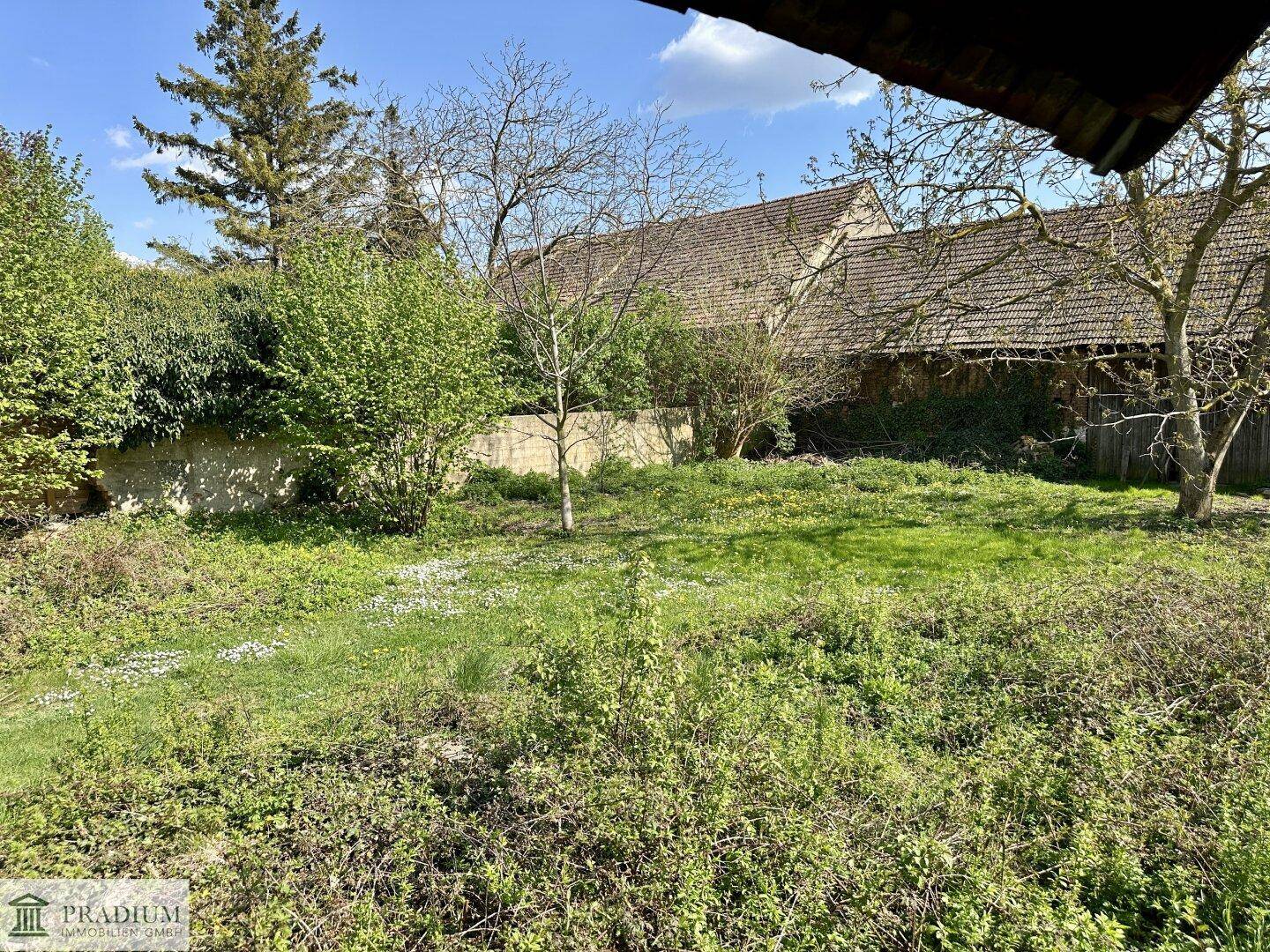 1.209 m² Freiheit - Ihr Traumgrundstück mit hoher Bebauungsmöglichkeit - Ansicht 5