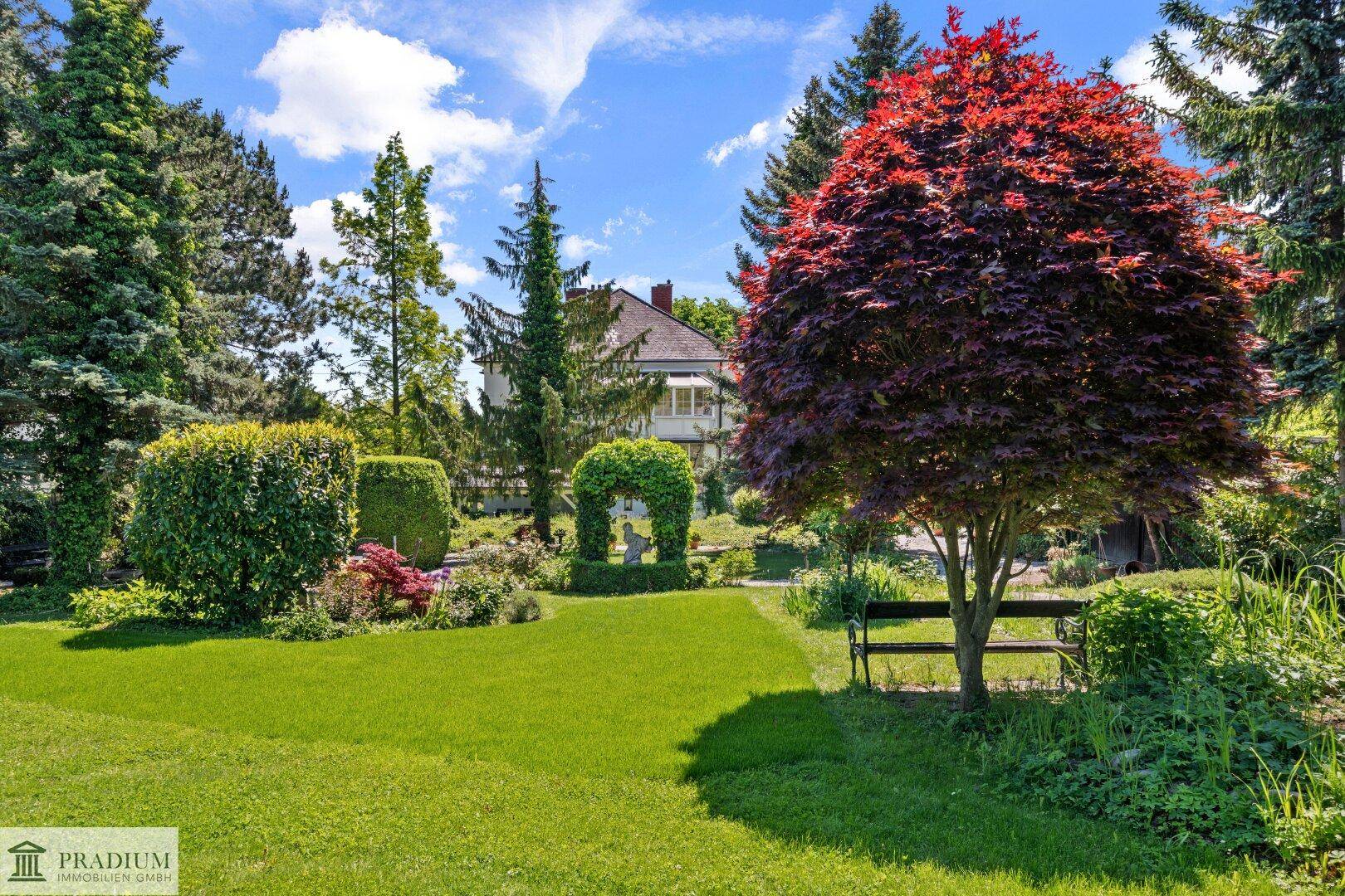 Weitläufiger, gepflegter Garten mit Rasenflächen, hohen Bäumen und einem roten Ahornbaum.