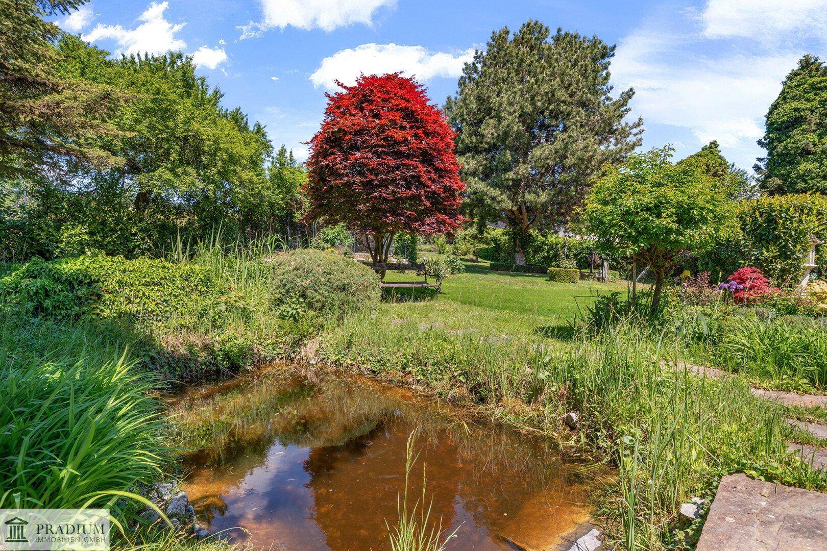 Idyllischer Gartenbereich mit einem kleinen Teich, umgeben von üppiger Vegetation und hohen Bäumen.