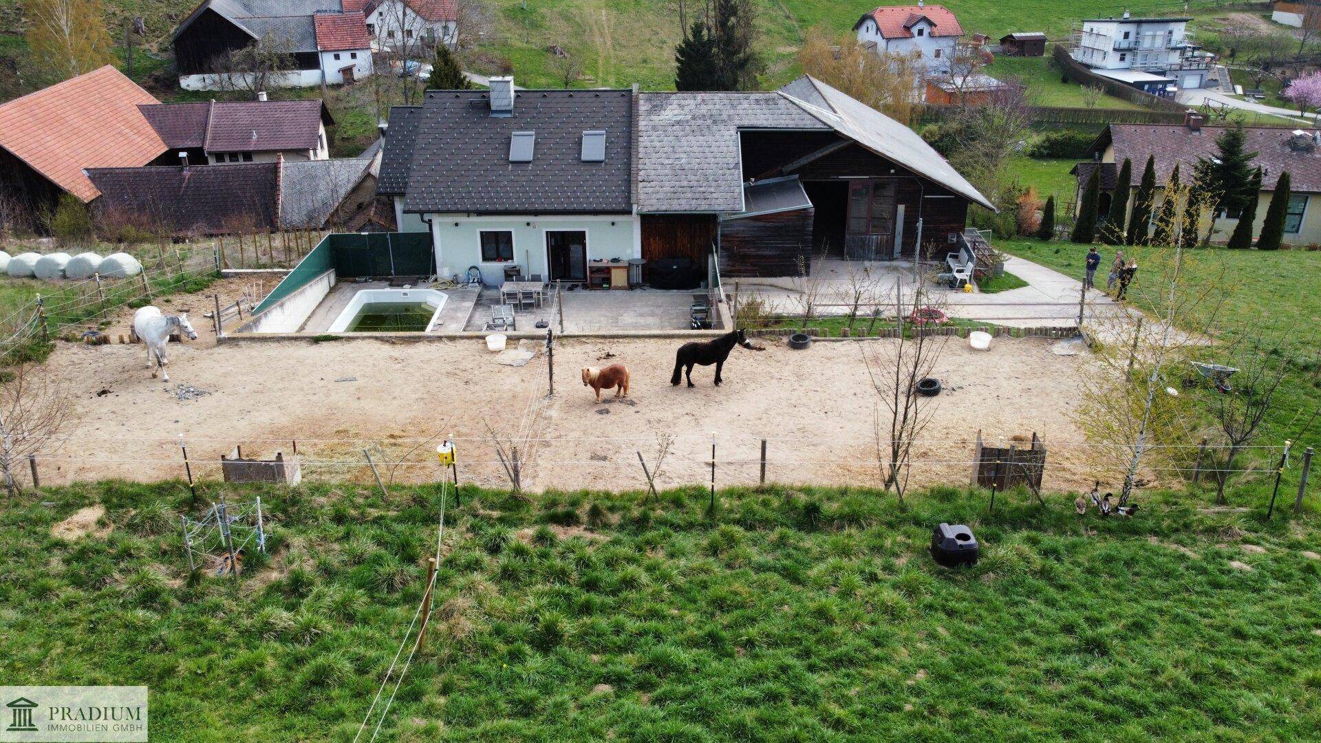 Luftaufnahme des Anwesens mit Haus, Pool, Terrasse und weitläufigem Pferdebereich in ländlicher Umgebung.