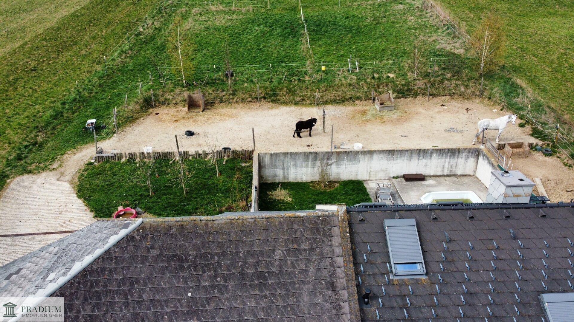 Luftaufnahme des Hauses mit Dachfenstern und angrenzendem Pferdebereich in ländlicher Umgebung.