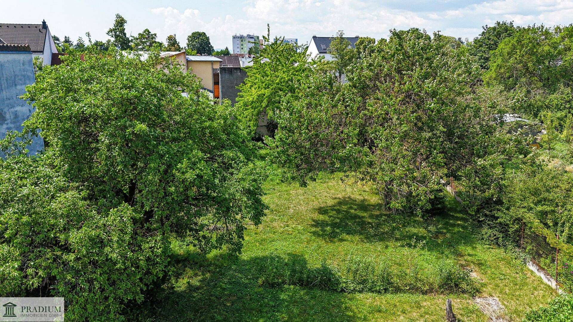 Blick auf einen grünen Garten mit üppigem Rasen und hohen Bäumen, umgeben von weiteren Wohnhäusern.