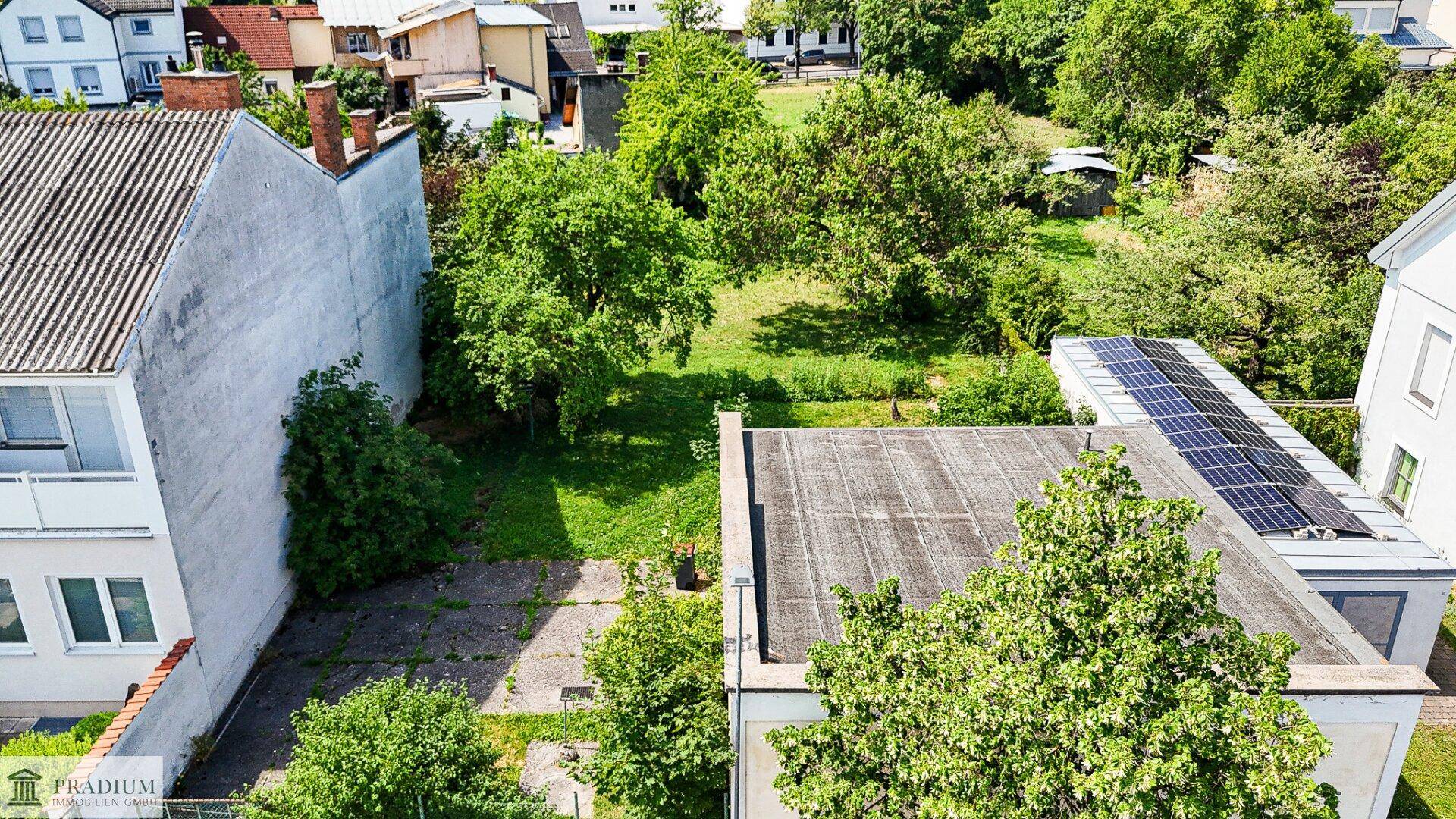 Panoramablick auf den Gartenbereich mit Rasenflächen, Bäumen und einem Dach mit Photovoltaikanlage im Sonnenlicht.