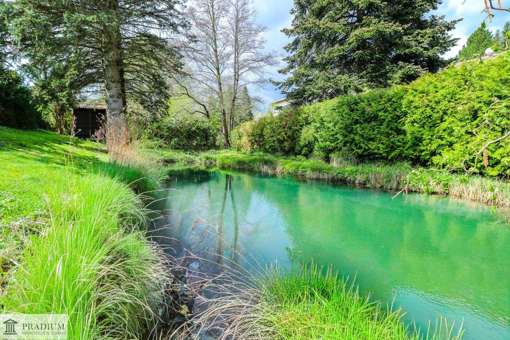 Natürlicher Teich oder Bachlauf mit üppiger grüner Ufervegetation auf dem Grundstück.