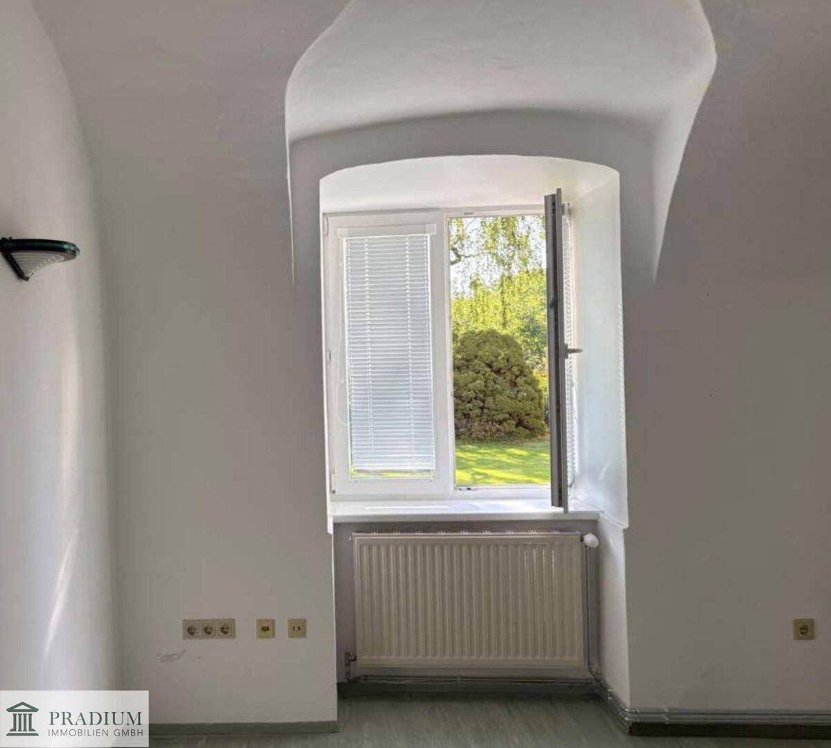 Heller Raum mit einem Fenster, das einen Blick ins Grüne bietet, und einem Heizkörper darunter.