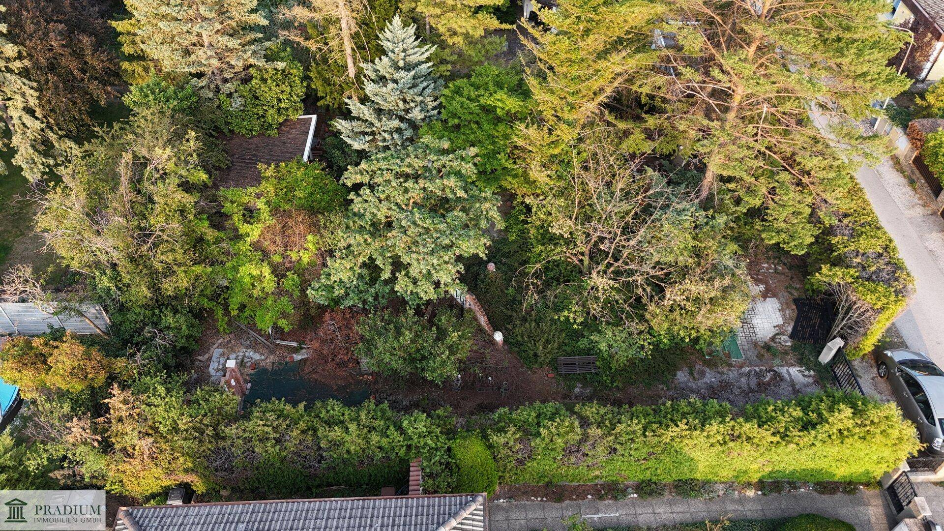 Übersicht aus der Vogelperspektive des Grundstücks mit üppiger Vegetation und angrenzender Wohnbebauung.