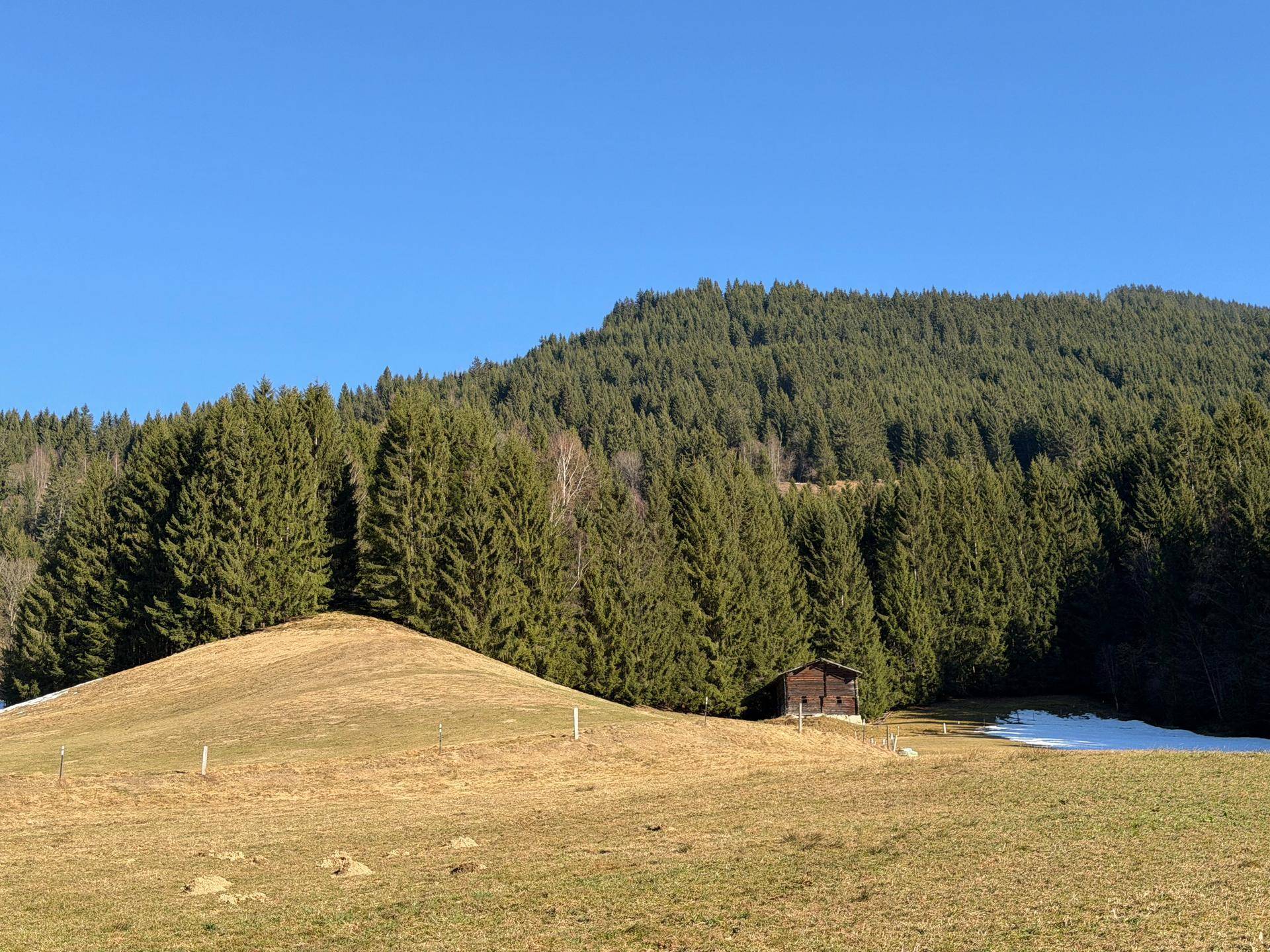 Kleine Holzhütte am Rande eines Waldes auf einer grünen Wiese unter blauem Himmel.