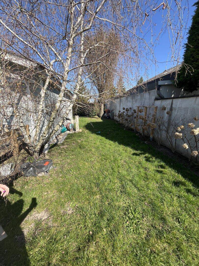 Langer, schmaler Gartenbereich mit Rasen und hohen Mauern auf beiden Seiten.