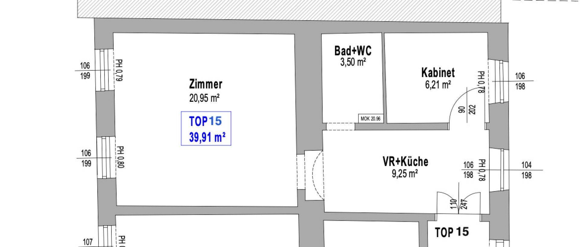 Grundriss einer Wohnung mit Zimmer, Bad, Kabinett und Vorraum mit Küche.