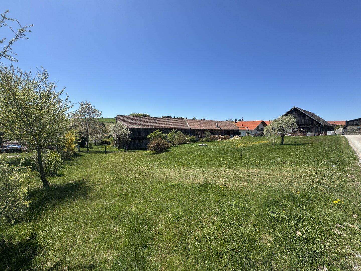 Weitläufige grüne Landschaft mit mehreren traditionellen Holzgebäuden unter blauem Himmel.