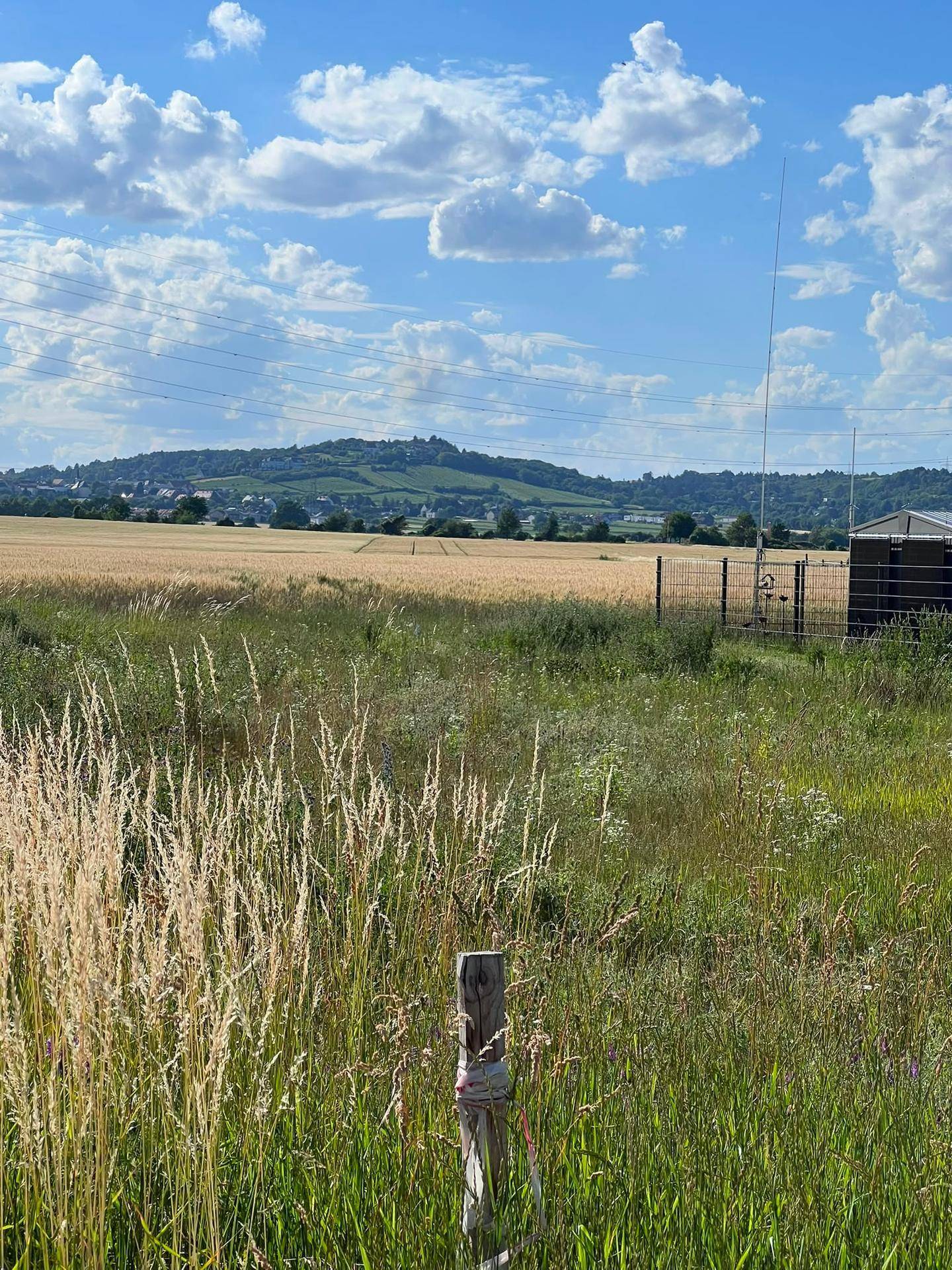 Grundstück 853 m² in Gerasdorf Föhrenhain provisionsfrei kaufen - Ansicht 2