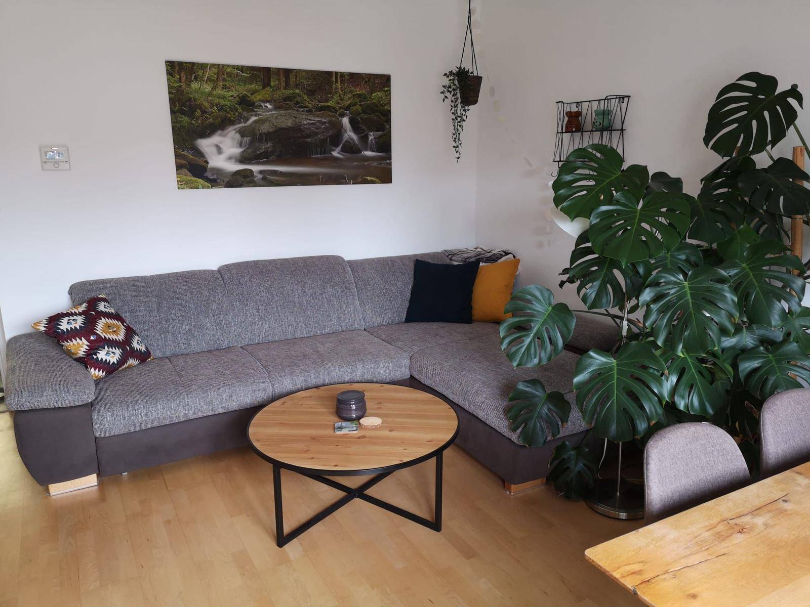 Gemütliches Wohnzimmer mit großem Ecksofa, rundem Couchtisch und einer beeindruckenden Zimmerpflanze.