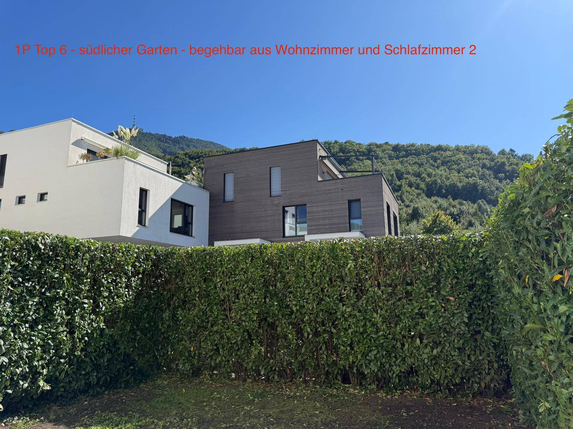Moderne Architektur mit klaren Linien und einer hohen grünen Hecke, die Privatsphäre bietet.