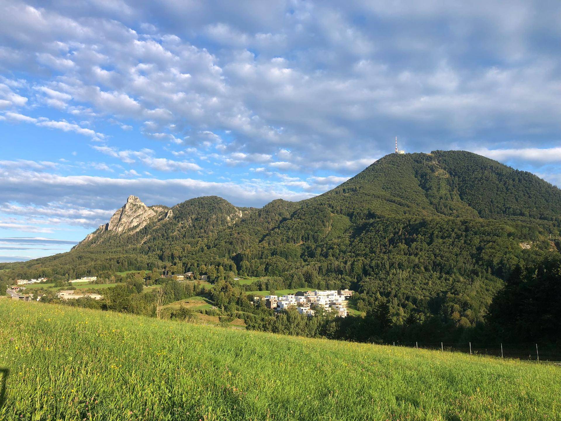 Weitläufige grüne Wiesen mit bewaldeten Bergen und einem klaren blauen Himmel im Hintergrund.