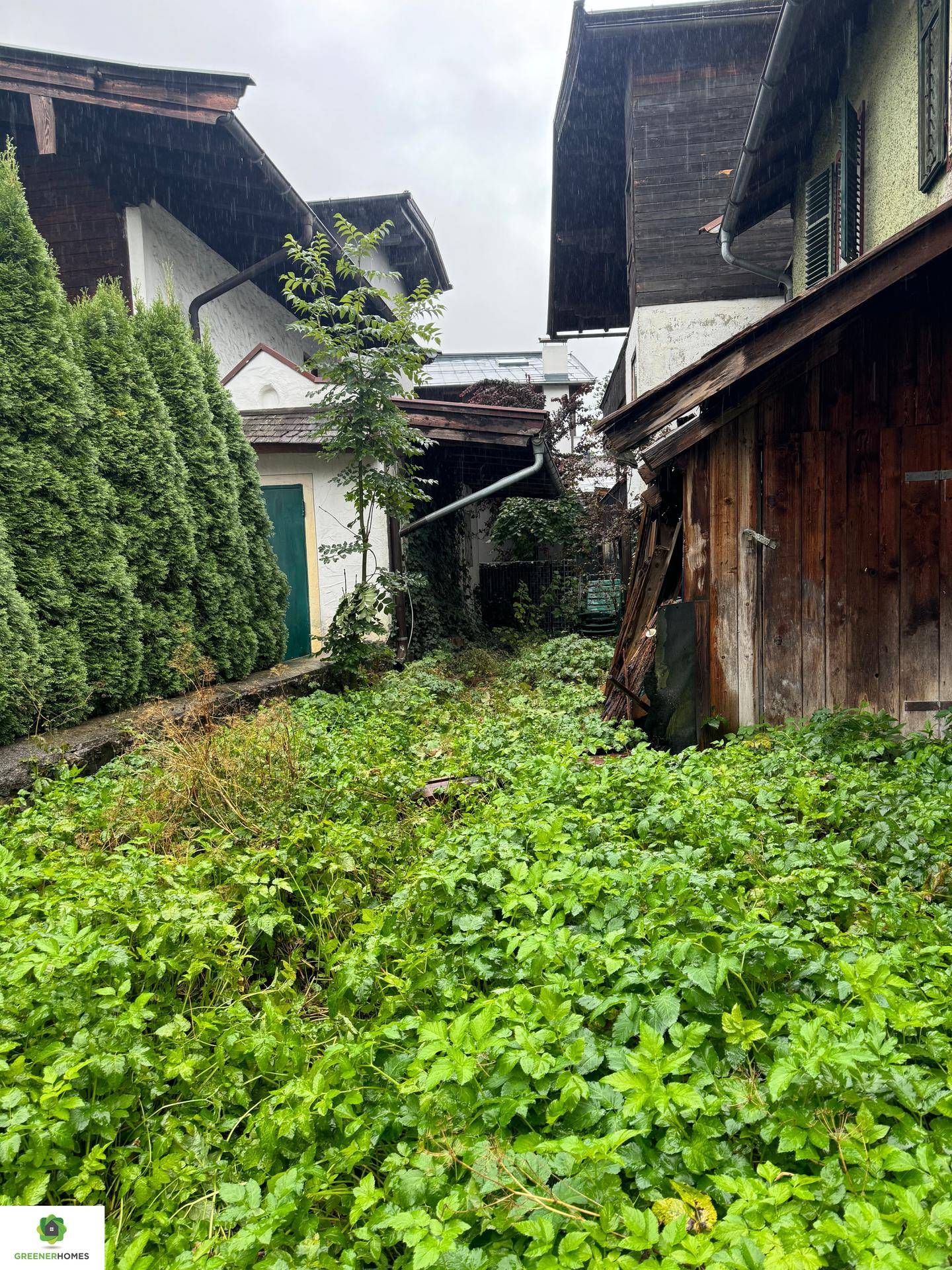 Verwilderter Gartenbereich zwischen Gebäuden mit viel Grün und alten Holzanbauten.