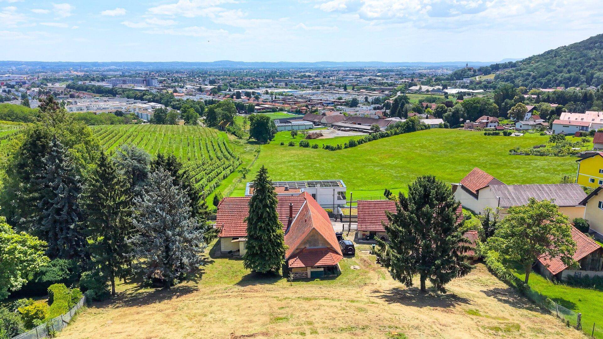 Luftaufnahme der Liegenschaft mit Weinbergen, Feldern und Wohngebäuden unter blauem Himmel.