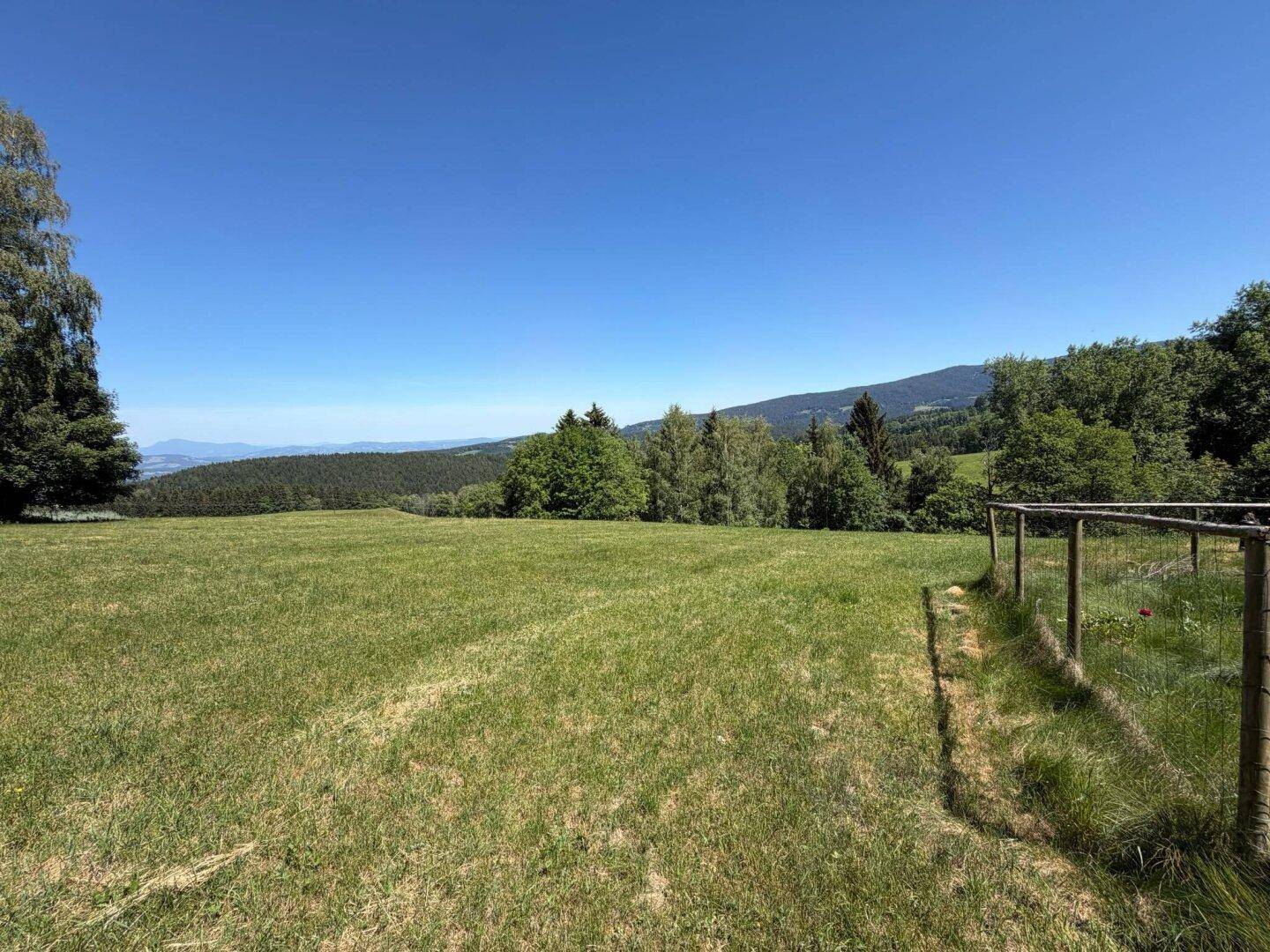 Weite grüne Wiesenlandschaft mit Blick auf ferne Berge unter blauem Himmel.