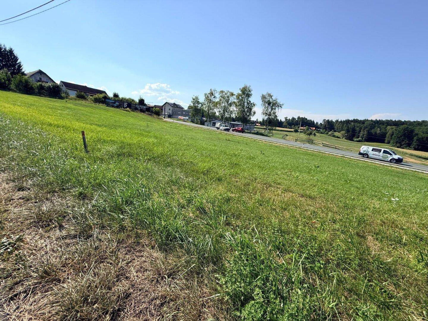 Grüne Wiese an einem Hang mit einer Straße und Häusern in der Ferne unter klarem blauem Himmel.
