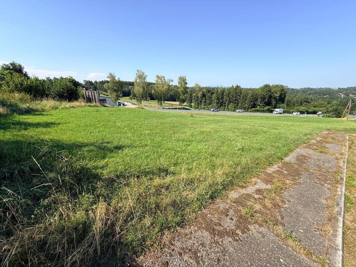 Weitläufiges grünes Feld mit einer Straße und Wald im Hintergrund unter strahlend blauem Himmel.