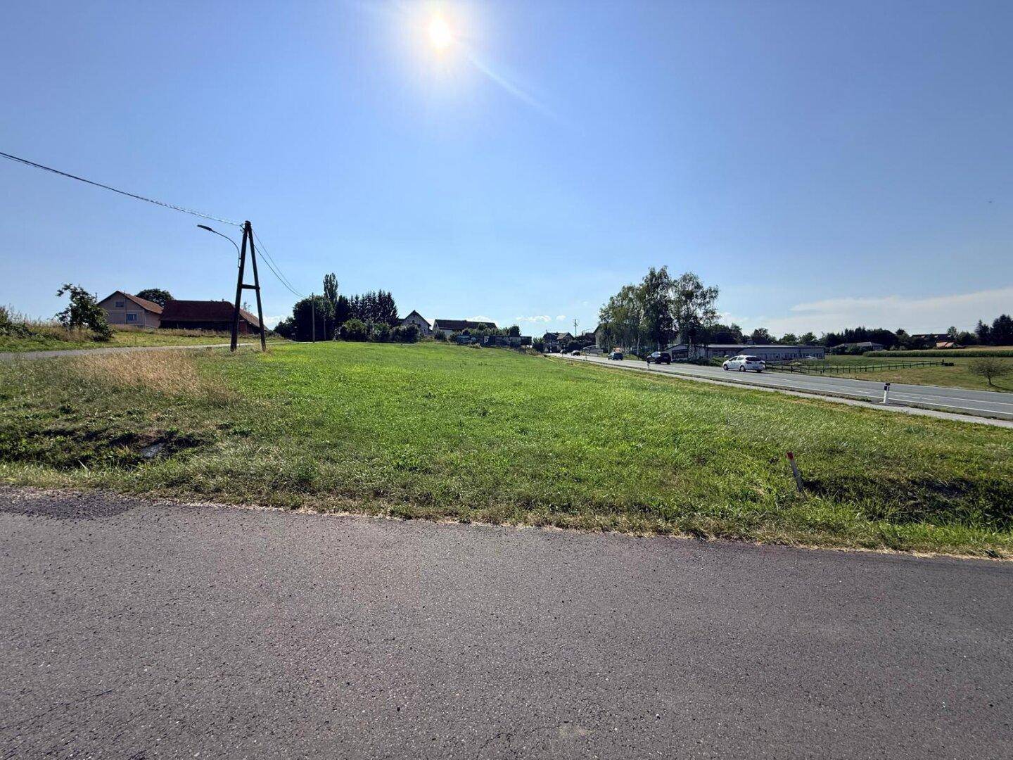 Grüne Wiese neben einer Straße mit Häusern und Bäumen in der Ferne unter strahlend blauem Himmel.