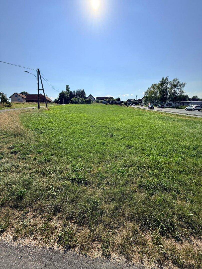 Weitläufiges grünes Feld neben einer Straße mit Häusern und Bäumen in der Ferne unter blauem Himmel.