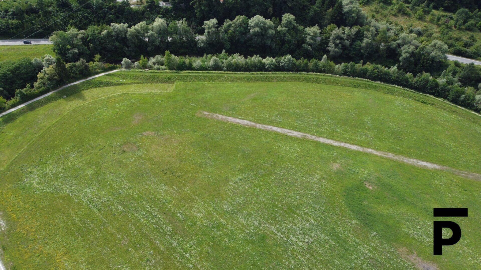 Nahaufnahme eines weitläufigen grünen Feldes mit einer Baumreihe am Horizont unter blauem Himmel.
