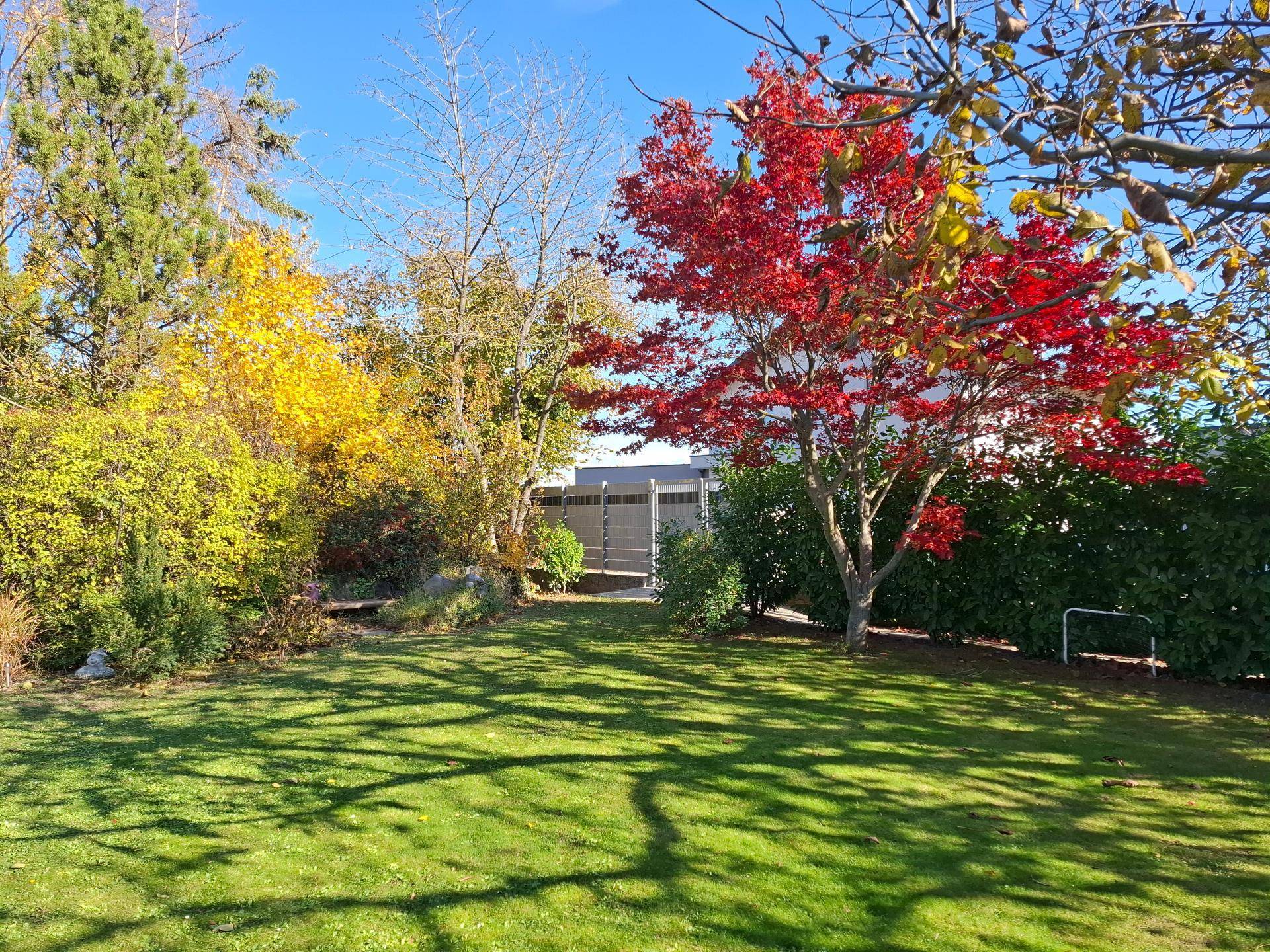Gepflegter Garten mit grünem Rasen und bunten Bäumen in herbstlicher Färbung.