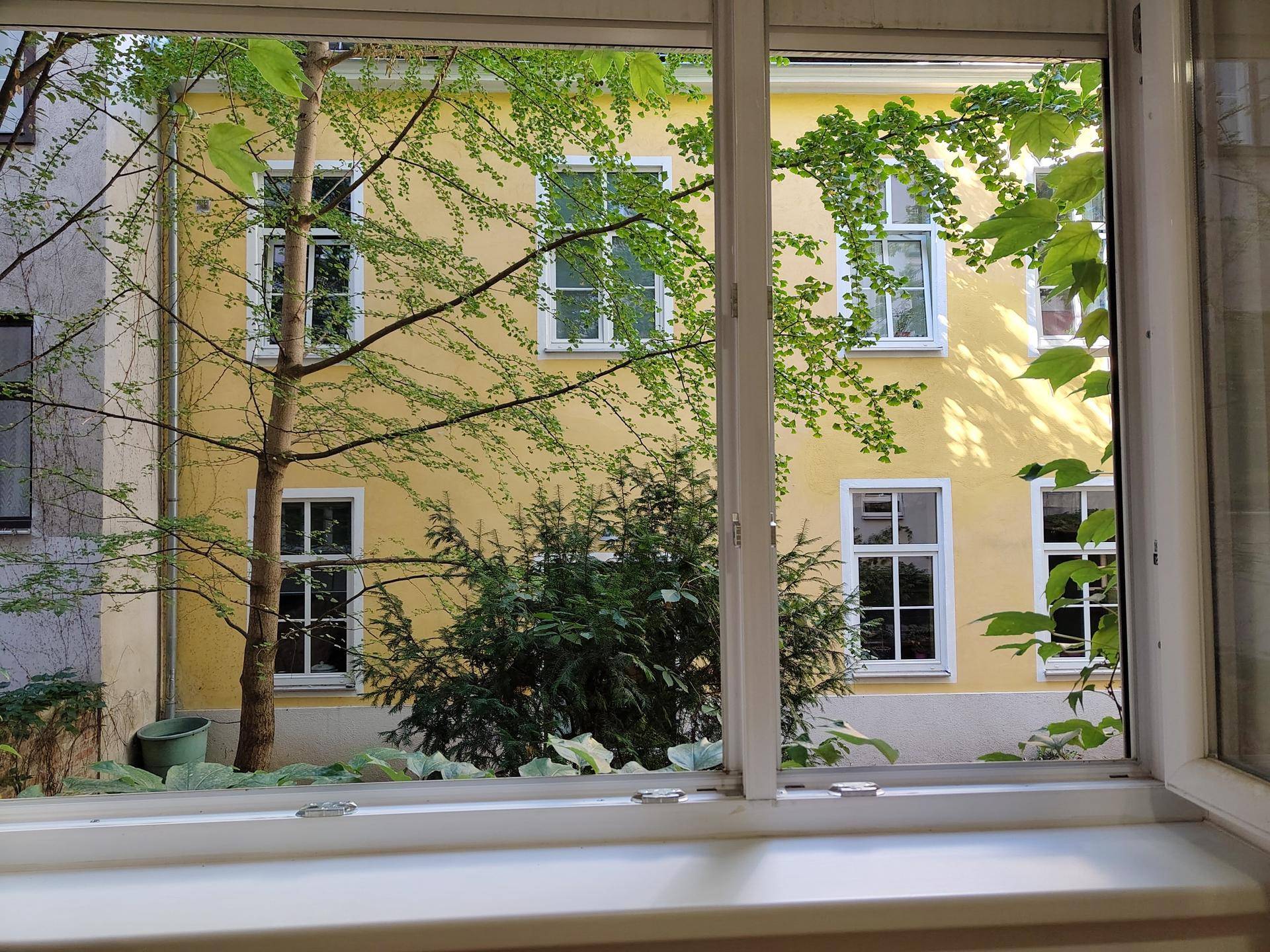Blick aus dem Fenster auf einen grünen Innenhof mit Bäumen und einer gelben Gebäudefassade.