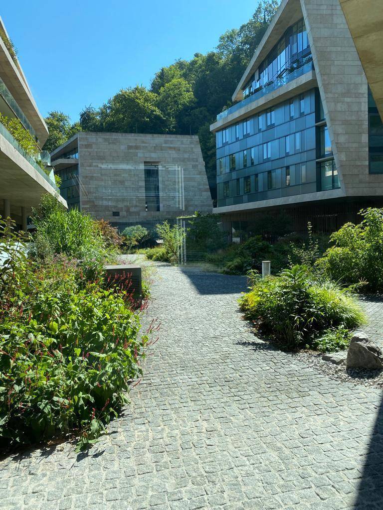 Begrünter Innenhof zwischen modernen Gebäuden mit großen Glasfronten unter blauem Himmel.