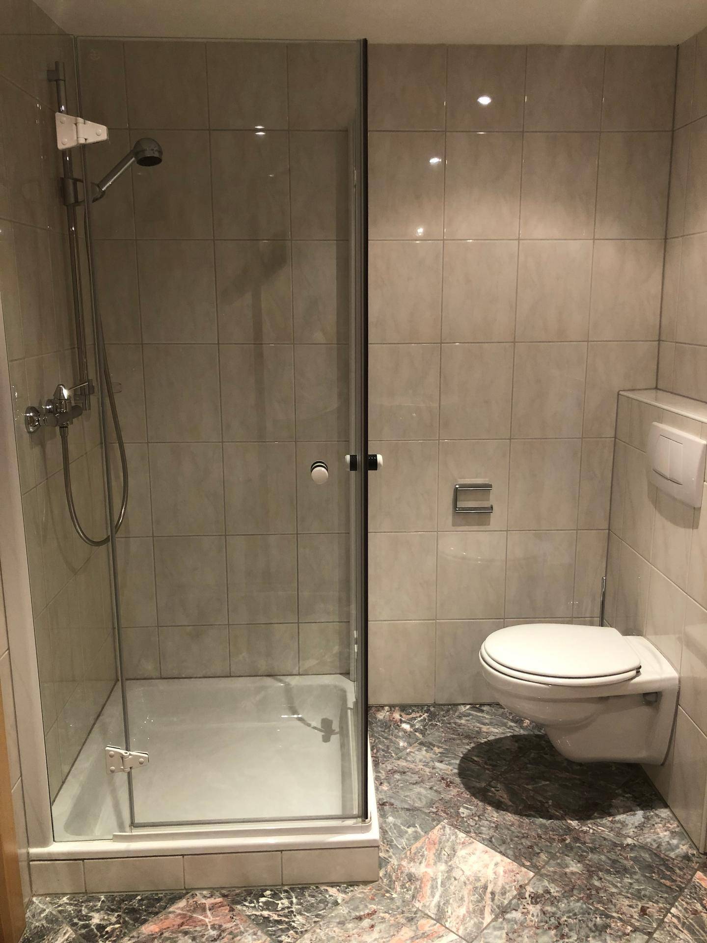 Modernes Badezimmer mit begehbarer Dusche, Wand-WC und gefliesten Wänden und Boden.