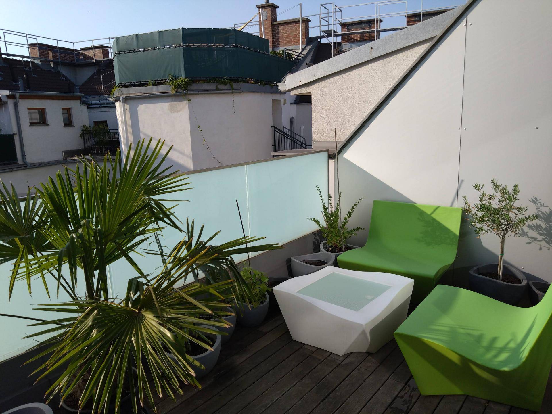 Sonniger Dachgarten mit modernen Sitzgelegenheiten und Pflanzen, umgeben von städtischen Dächern.